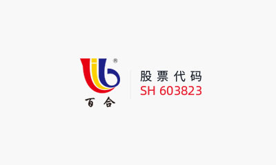 百合花集團股份有限公司 關于對外投資暨內蒙古源晟制鈉科技有限公司項目的進展公告